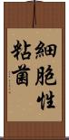 細胞性粘菌 Scroll