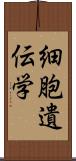 細胞遺伝学 Scroll