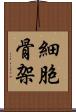 細胞骨架 Scroll
