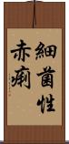 細菌性赤痢 Scroll