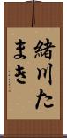 緒川たまき Scroll