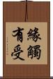 緣觸有受 Scroll