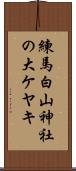 練馬白山神社の大ケヤキ Scroll