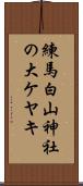 練馬白山神社の大ケヤキ Scroll