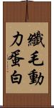 纖毛動力蛋白 Scroll