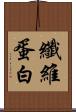 纖維蛋白 Scroll