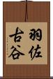 羽佐古谷 Scroll