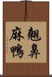 翹鼻麻鴨 Scroll