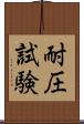 耐圧試験 Scroll