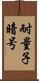 耐量子暗号 Scroll