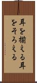 耳を揃える Scroll