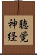 聴覚神経 Scroll