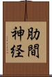 肋間神経 Scroll