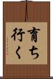 育ち行く Scroll