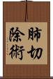 肺切除術 Scroll