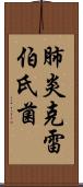 肺炎克雷伯氏菌 Scroll