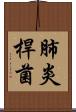 肺炎桿菌 Scroll