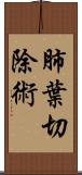肺葉切除術 Scroll