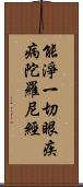 能淨一切眼疾病陀羅尼經 Scroll