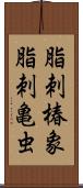 脂刺椿象;脂刺亀虫 Scroll