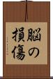 脳の損傷 Scroll