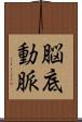 脳底動脈 Scroll