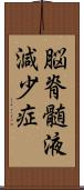 脳脊髄液減少症 Scroll