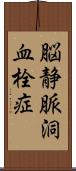 脳静脈洞血栓症 Scroll