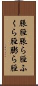 脹脛 Scroll