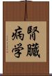 腎臓病学 Scroll