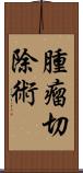 腫瘤切除術 Scroll