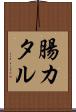 腸カタル Scroll