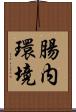 腸内環境 Scroll