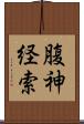 腹神経索 Scroll