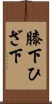 膝下 Scroll