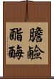 膽鹼酯酶 Scroll