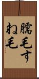 臑毛 Scroll