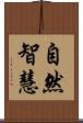 自然智慧 Scroll