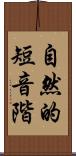 自然的短音階 Scroll