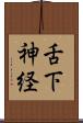 舌下神経 Scroll