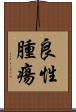 良性腫瘍 Scroll