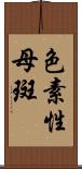 色素性母斑 Scroll