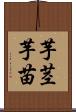 芋茎 Scroll