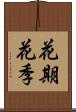 花期 Scroll