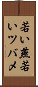 若い燕 Scroll