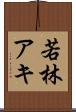 若林アキ Scroll