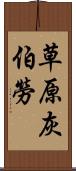 草原灰伯勞 Scroll