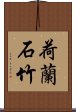 荷蘭石竹 Scroll