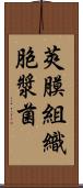 莢膜組織胞漿菌 Scroll