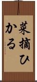 菜摘ひかる Scroll
